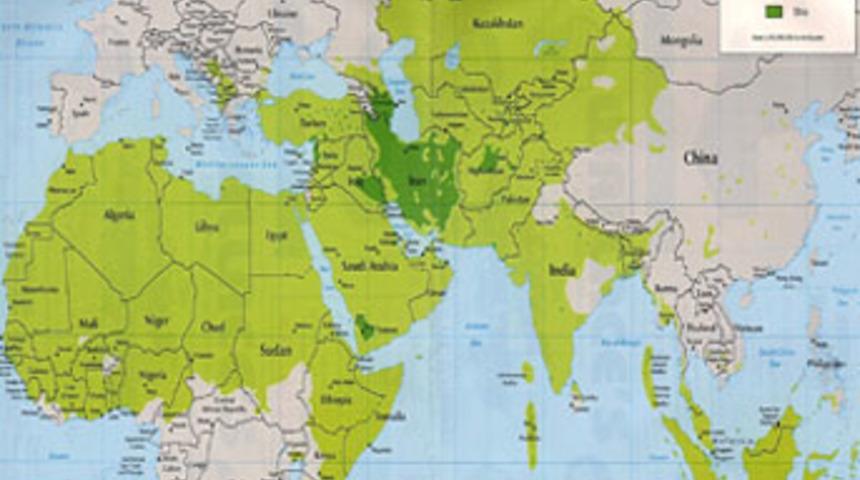 D&uuml;nyada her 4 kişiden 1'i M&uuml;sl&uuml;man