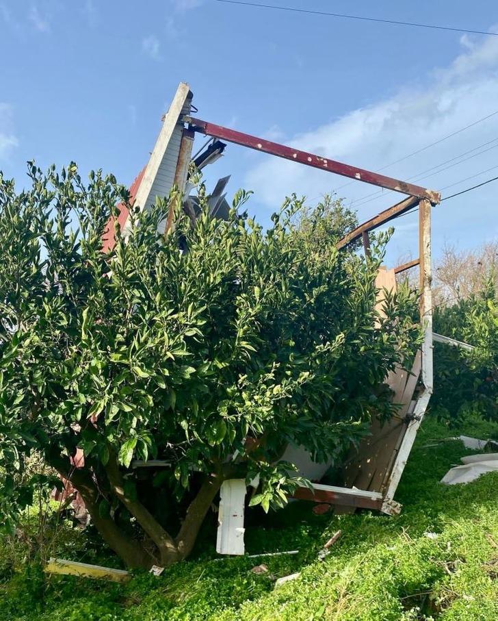 İzmir'de hortum paniği! Su tankerini ve evlerin çatısı uçtu, ağaçları kökünden söktü G4