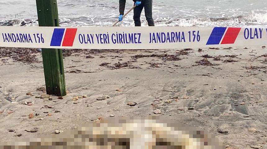 Bodrum'da korkunç olay! Sahilde başı olmayan erkek cesedi bulundu