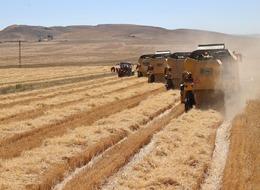 2023'te 63,4 milyar lira tarımsal destek ödemesi yapıldı