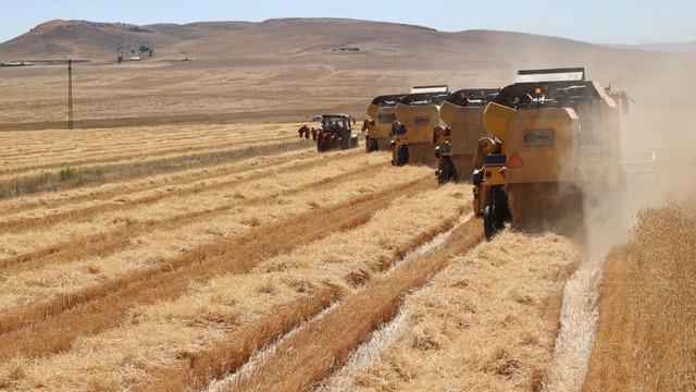 2023'te 63,4 milyar lira tarımsal destek ödemesi yapıldı