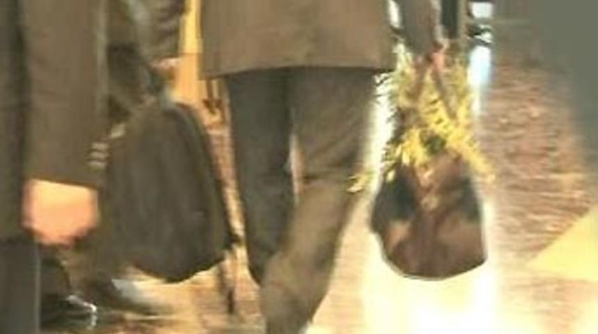 Papandreu zeytin fidanıyla geldi