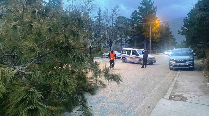 Konya’da şiddetli fırtınada 1 kişi yaralandı