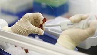 Domuz gribi aşıları bozukmuş!