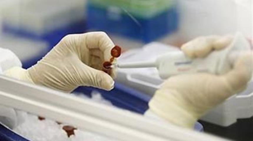 Domuz gribi aşıları bozukmuş!