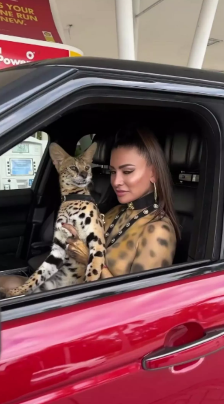 Sosyal medya fenomeni Francia James yine limit tanımadı! Çırılçıplak soyunup sadece vücut boyasına büründü... Bir gören bir daha baktı G2