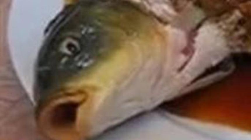 1 dakikalık yemek vahşeti