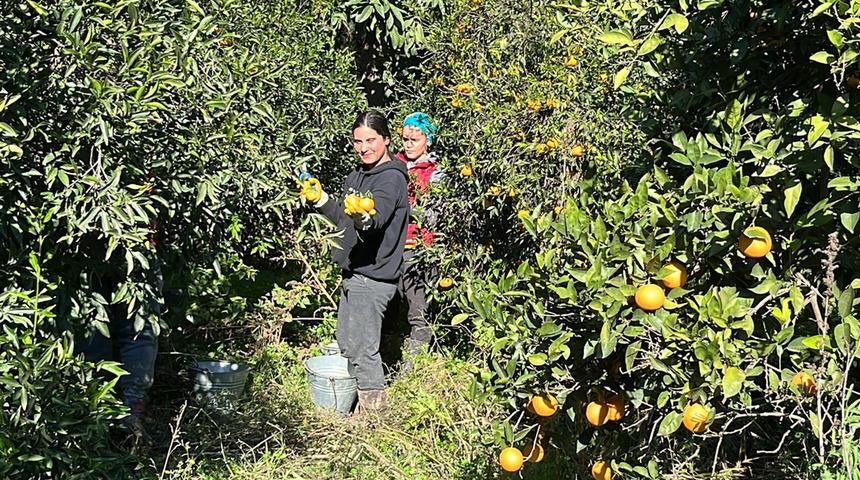 'Bahçede 5 TL, İstanbul'da 50 TL' Sirkesi, dondurması, reçeli, kolonyası, lokumu, gazozu yapılıyor ama... 'Menülerine koymaları gerekiyor'