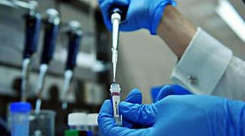 Domuz gribi bir can daha aldı