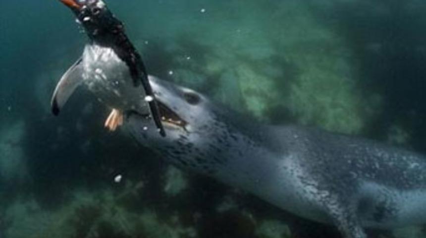 &Ouml;l&uuml;m anını yakaladı