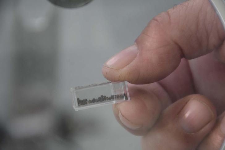 İzmir’de bulundu, büyük heyecan yarattı! İlk kez böyle bir şeyle karşılaştılar… G3