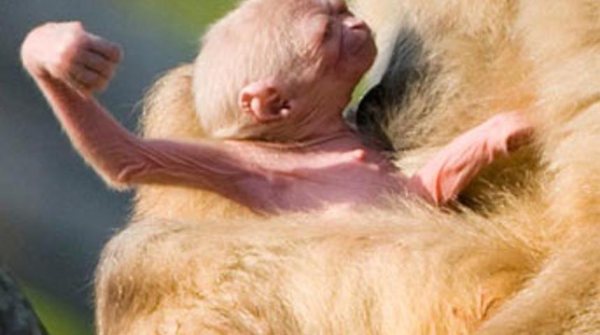 D&uuml;nya bu anlara kilitlendi