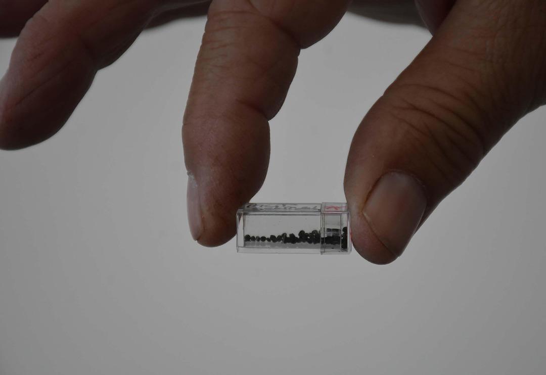 İzmir&rsquo;de bulundu, b&uuml;y&uuml;k heyecan yarattı! İlk kez b&ouml;yle bir şeyle karşılaştılar&hellip;