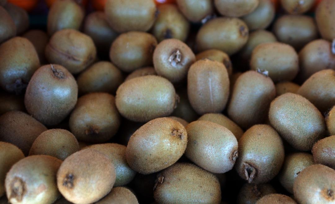 Kabızlık problemine kesin &ccedil;&ouml;z&uuml;m! Tıkanan bağırsakları motor gibi &ccedil;alıştırıyor