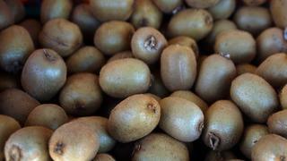 Kabızlık problemine kesin çözüm! Tıkanan bağırsakları motor gibi çalıştırıyor