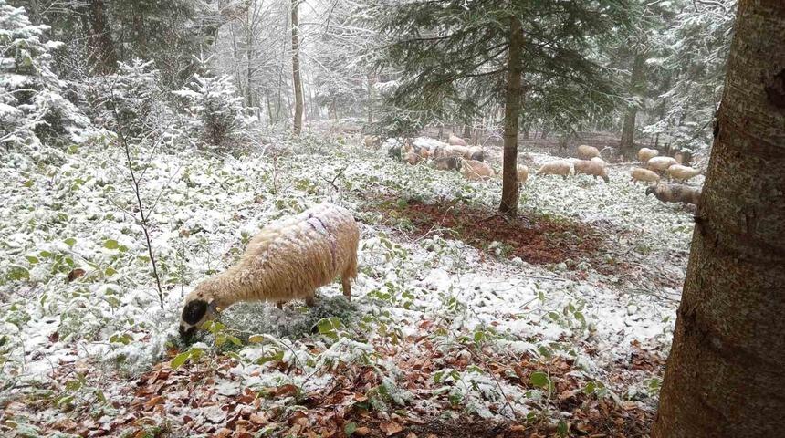 Sakarya’da yılın ilk karı yüksek kesimleri beyaza bürüdü
