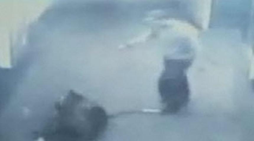 Pitbull &ouml;yle bir saldırdı ki...