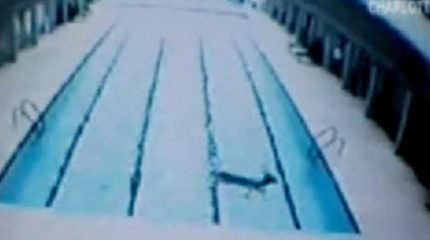 Geyiğin havuz keyfi