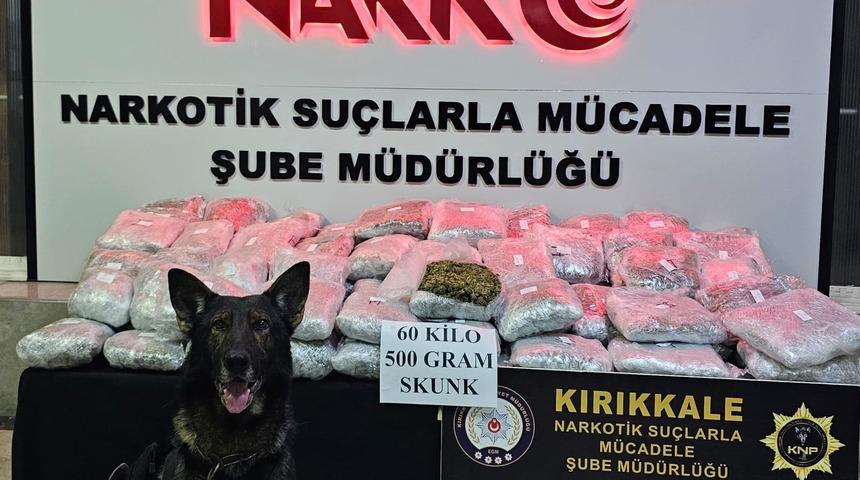 Kırıkkale'de tırın dorsesine gizlenmiş 60,5 kilogram skunk ele geçirildi