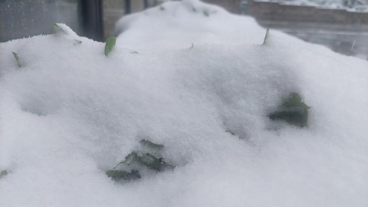 Eğitime kar engeli! Öğrenciler araştırıyor: 10 Ocak'ta hangi illerde okullar tatil? G2