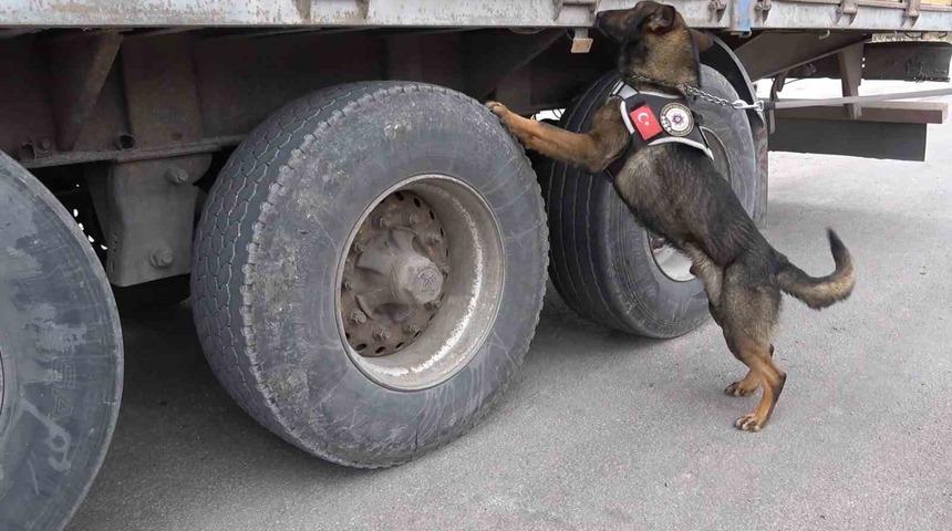 43 ilin ge&ccedil;iş noktasında uyuşturucuya ge&ccedil;it yok: 60,5 kilogram &rsquo;skunk&rsquo; ele ge&ccedil;irildi