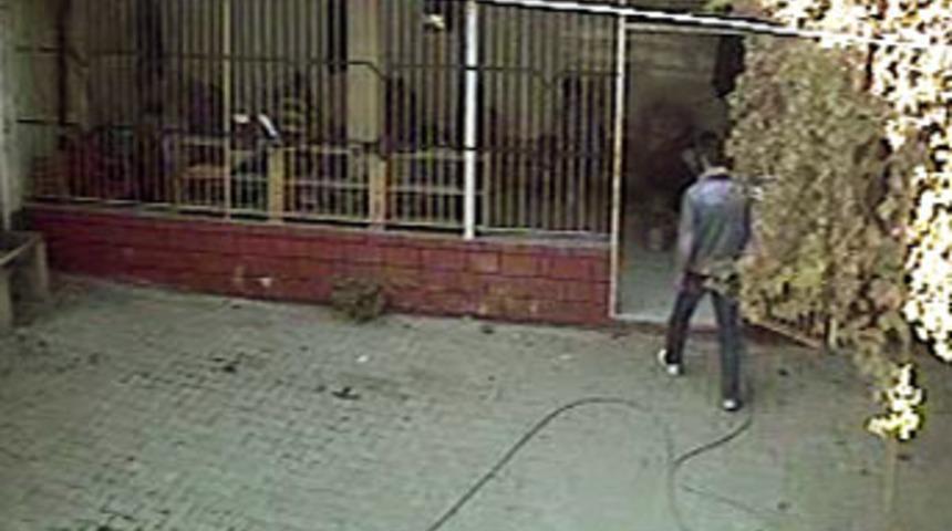 Cami tuvaletinde altın vuruş yaptı