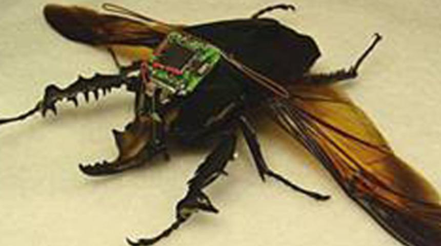 Robot-böcek test uçuşunda