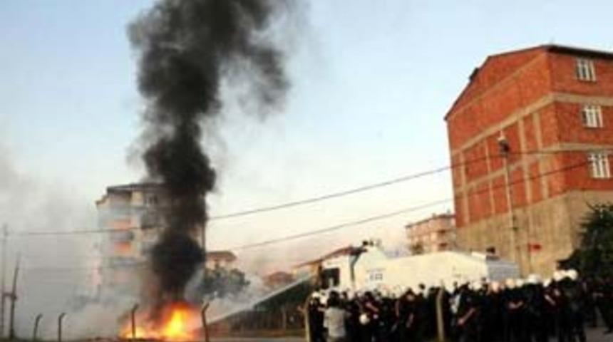 Yıkıma 'arı'lı direniş