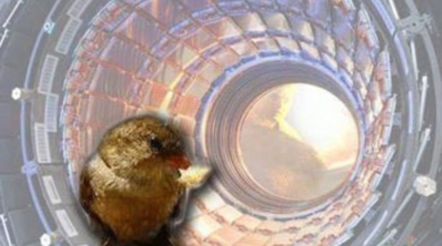 Hadron &Ccedil;arpıştırıcısı'na ekmek ka&ccedil;tı