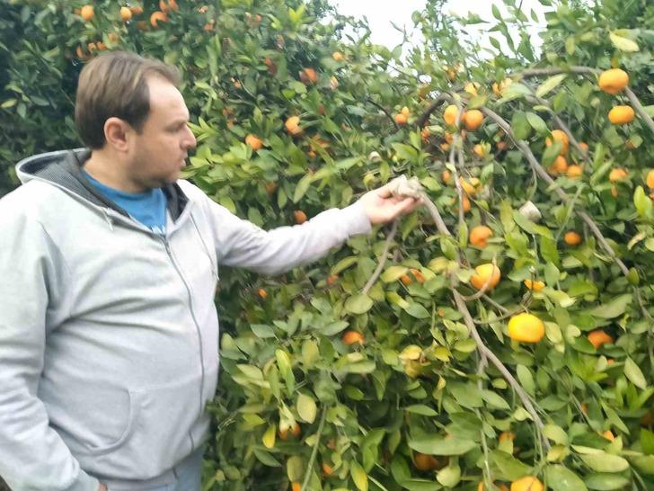 Lüks marketlerde 25 TL'ye satılıyor! Bedava dağıtsa da kimse toplamıyor 'Alın götürün diyorum...' G2