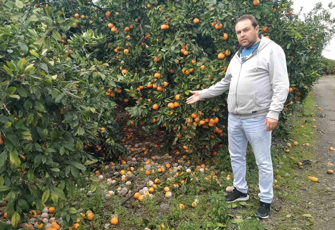 L&uuml;ks marketlerde 25 TL'ye satılıyor! Bedava dağıtsa da kimse toplamıyor 'Alın g&ouml;t&uuml;r&uuml;n diyorum...'