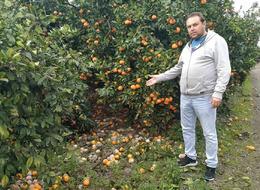 Lüks marketlerde 25 TL'ye satılıyor! Bedava dağıtsa da kimse toplamıyor 'Alın götürün diyorum...'