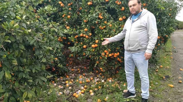 Lüks marketlerde 25 TL'ye satılıyor! Bedava dağıtsa da kimse toplamıyor 'Alın götürün diyorum...'