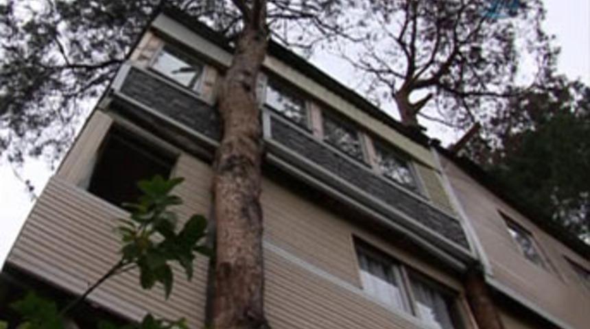 Karadenizli yapacağını yine yaptı