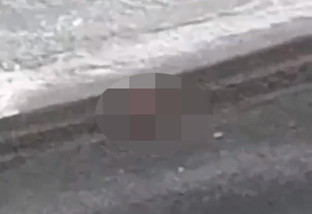 Buz gibi havada cinsel ilişkiye girdiler! Zonguldak'taki plajda kaydedilen g&ouml;r&uuml;nt&uuml;ler 'pes' dedirtti