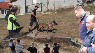 Cansız bedeni günler sonra parçalanmış halde bulunmuştu! Kan donduran olayın katil zanlısı bakın kim çıktı, her şeyi itiraf etti