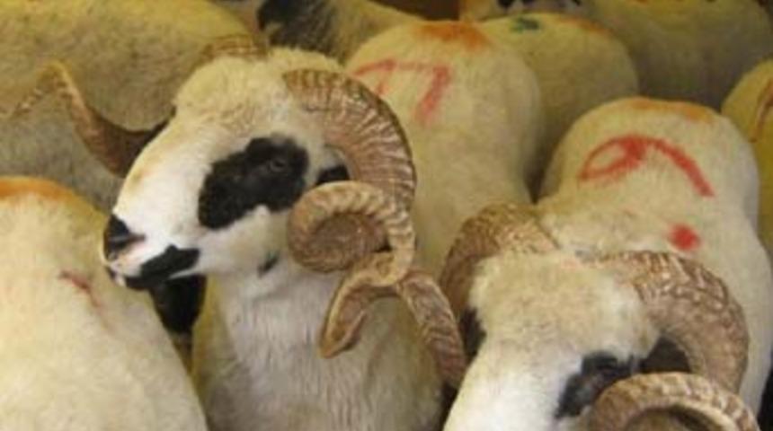 Dikkat! Bu da kurban hilesi