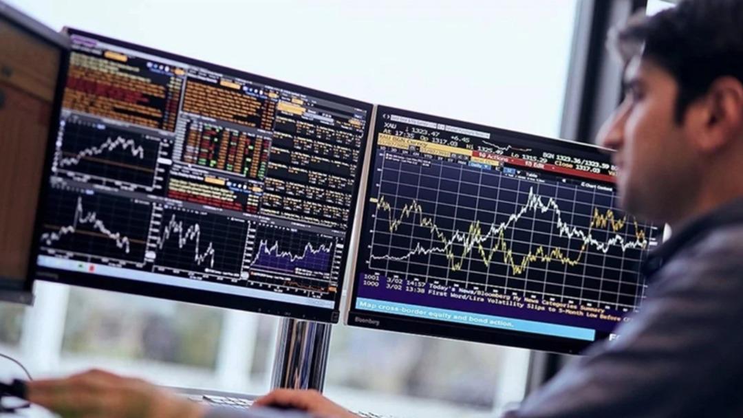 Sayı 1 milyona yaklaştı, borsadan ka&ccedil;ışın perde arkası: Ortak &ouml;zellikleri... 