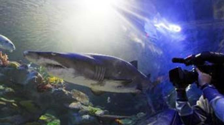 T&uuml;rkiye'nin ilk dev akvaryumu a&ccedil;ıldı