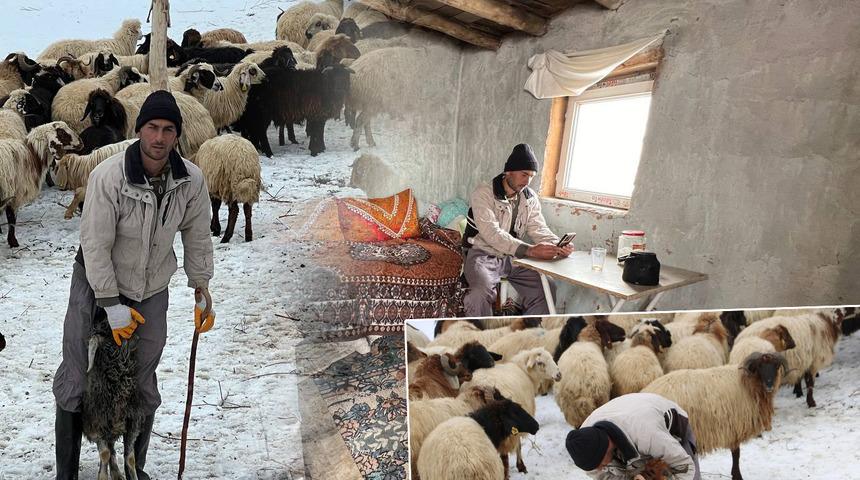 Hakkari'ye ithal çoban! Yerlisini bulamayınca İran'dan getirdi: Aldığı maaşı ve imkanlarını açıkladı