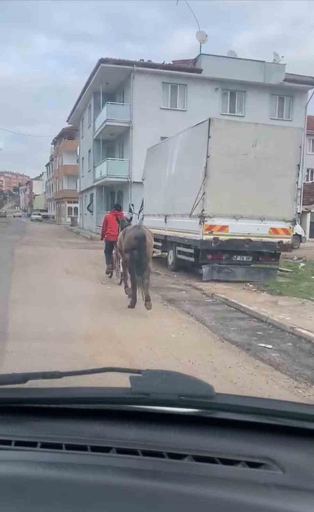 Bursa’da atı bisikletine bağlayarak götürdü