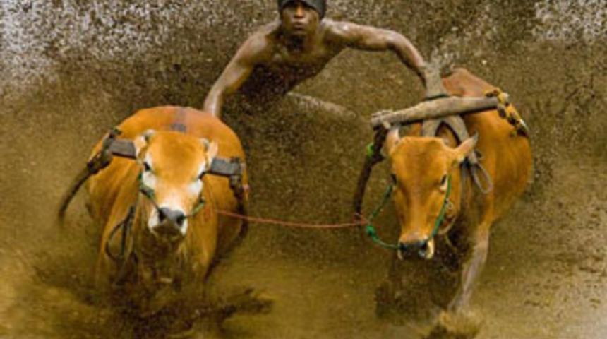 Yılın en iyi fotoğrafları