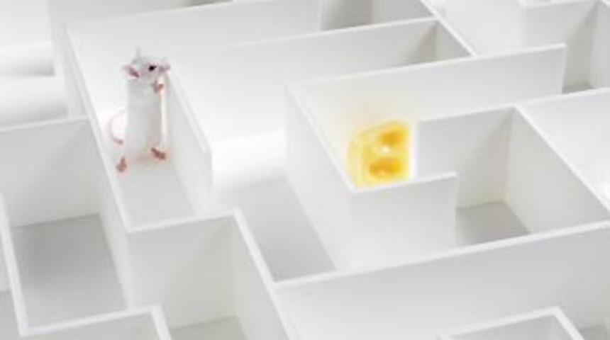 3 kat zeki olmak m&uuml;mk&uuml;n