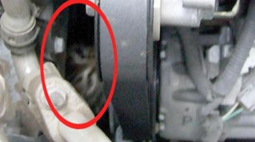Otomobilin motorundan kedi &ccedil;ıktı