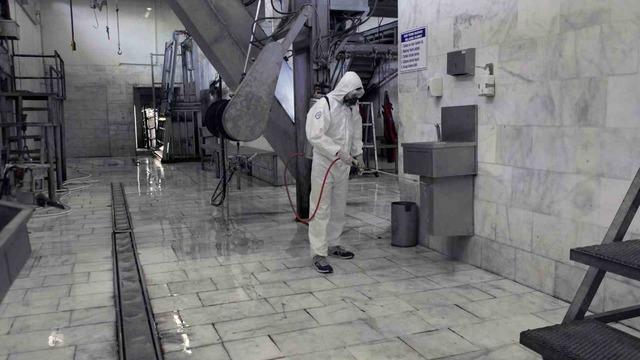 Muğla’nın 4 mezbahasında 2023 yılında 15 bin 565 büyükbaş hayvan kesildi