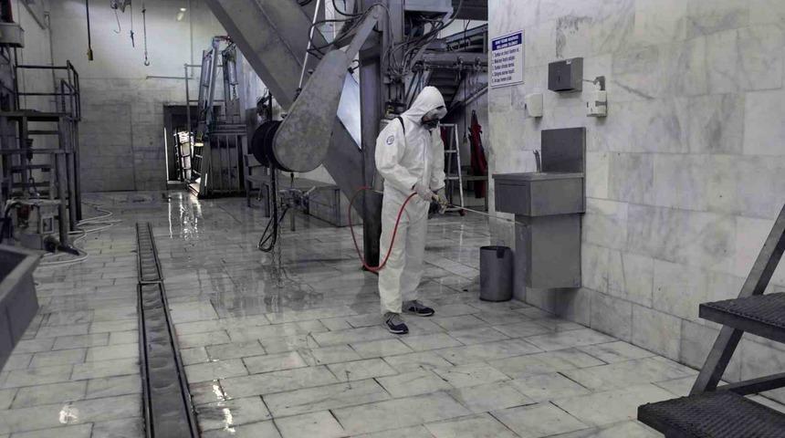 Muğla’nın 4 mezbahasında 2023 yılında 15 bin 565 büyükbaş hayvan kesildi