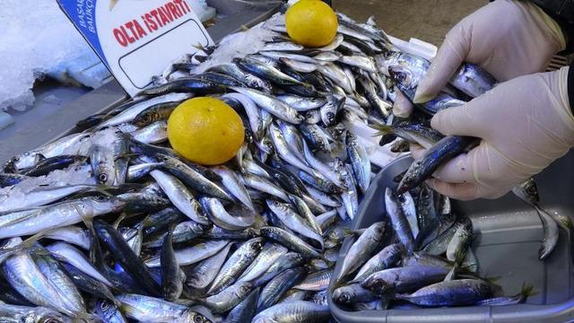Soğuk hava balık tezgahlarını vurdu: Fiyatlar bir haftada ikiye katlandı