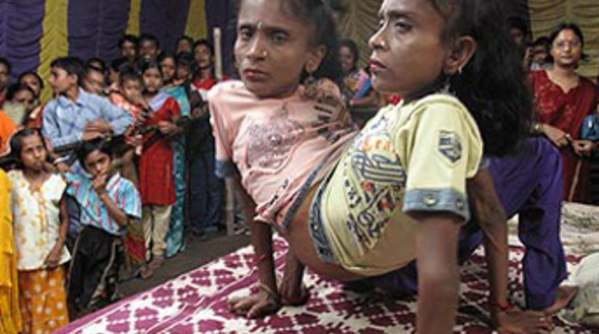 Örümcek kızkardeşler