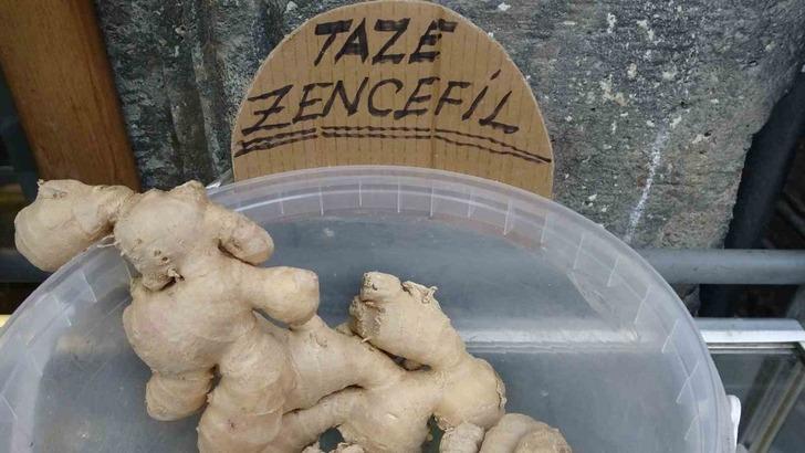 Soğuk havalarda kimse uğramadan geçmiyor! Şifalı formülü paylaştı... Sakın böyle demlemeyin G4