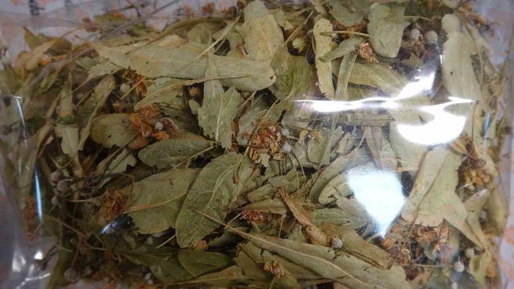 Soğuk havalarda kimse uğramadan geçmiyor! Şifalı formülü paylaştı... Sakın böyle demlemeyin G3